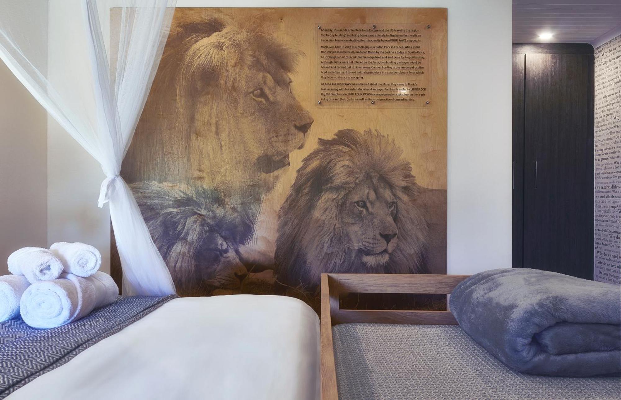 Lionsrock Big Cat Sanctuary Villa Bethlehem Dış mekan fotoğraf
